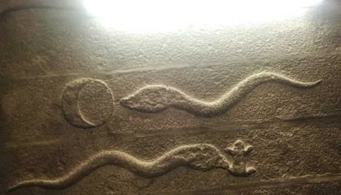 ariyathurai-varamoortheeswarar-temple-snake-approaching a disk