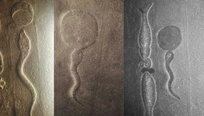 varar-moortishwara-fertilization-image